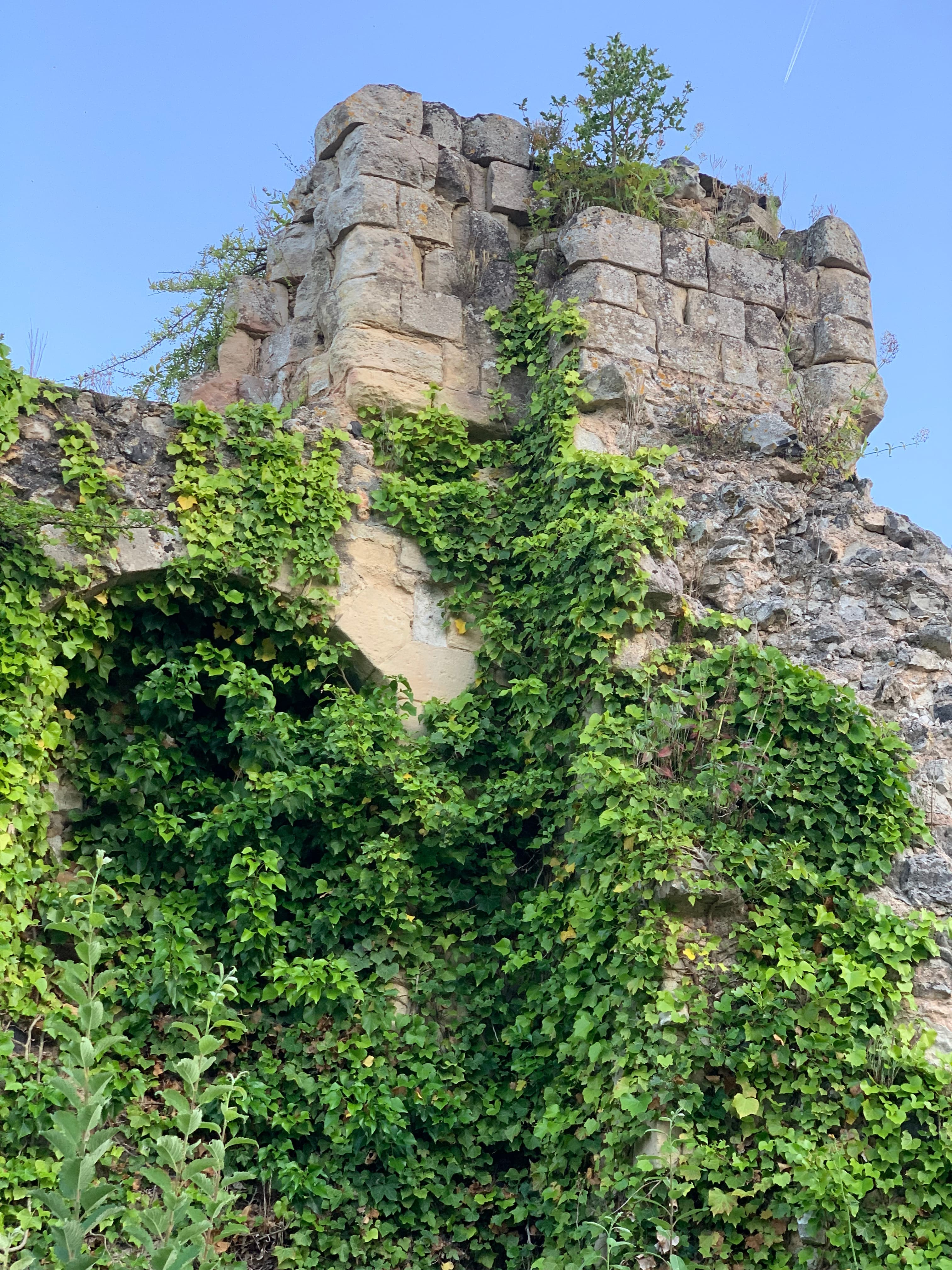 Montivilliers