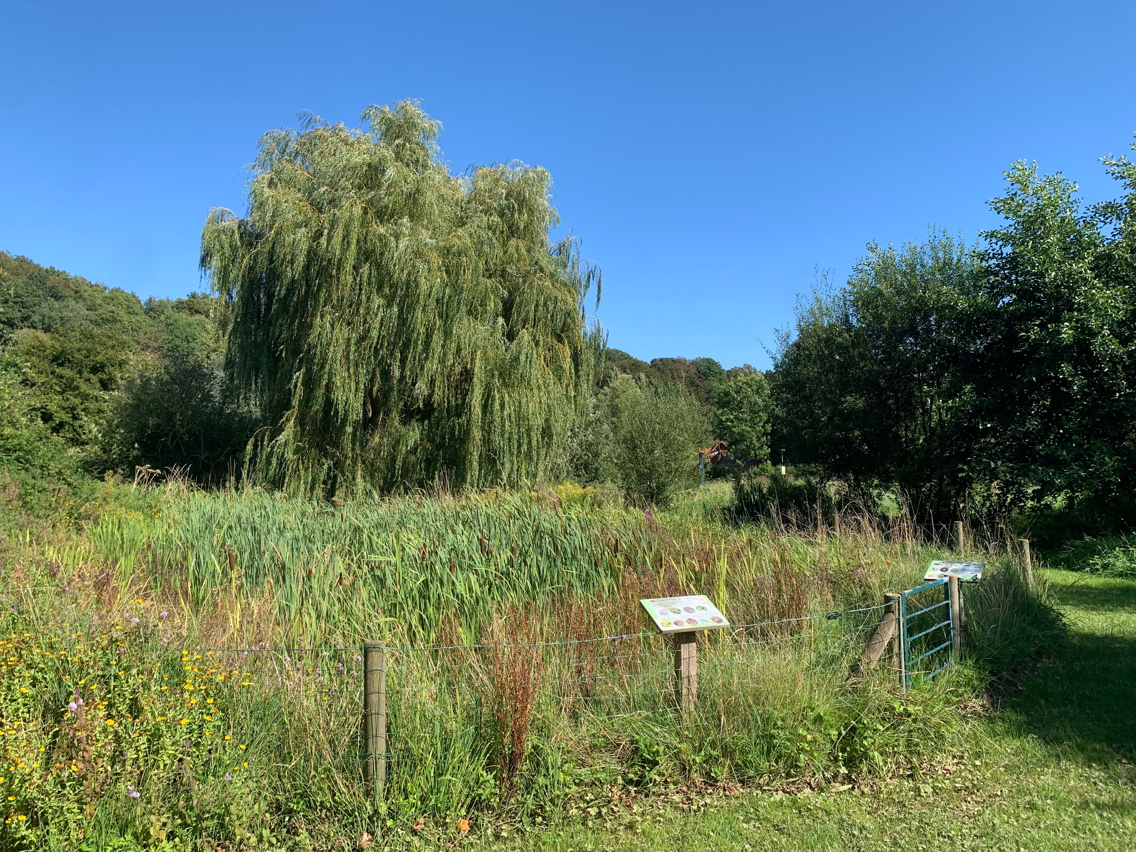 Montivilliers town