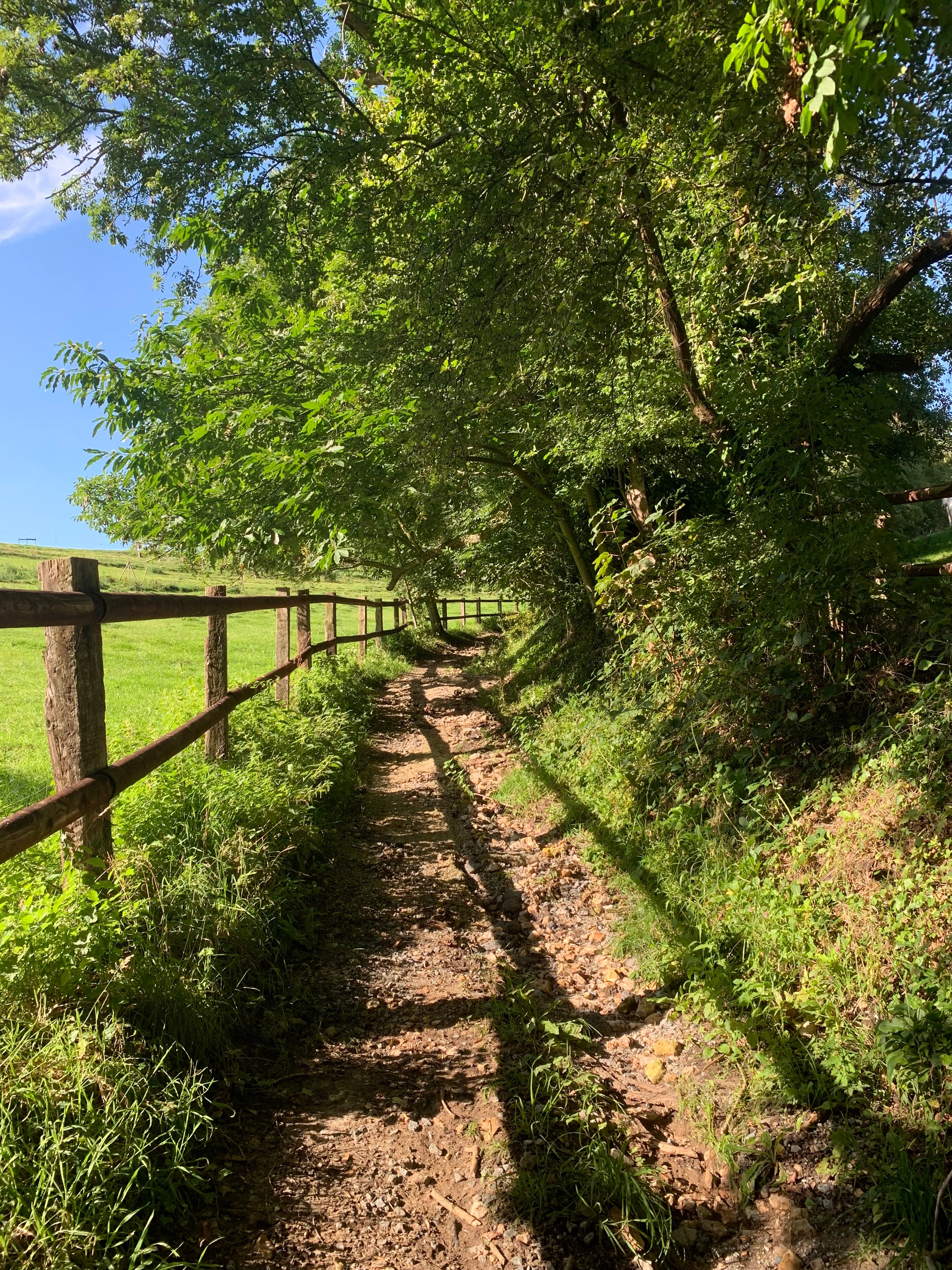 Montivilliers scenery