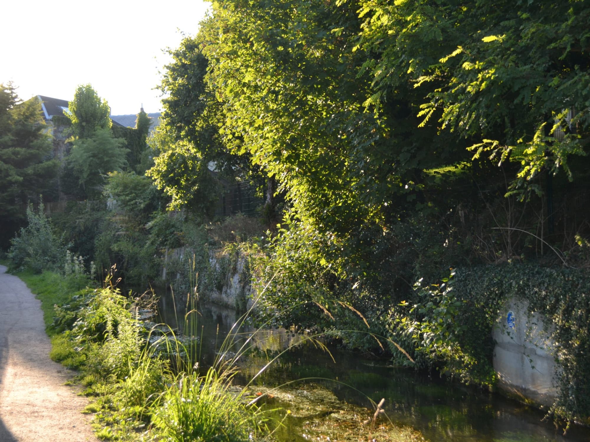 Nature et biodiversité