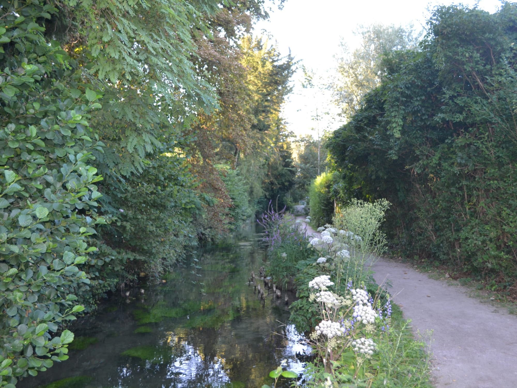 Vue générale du parc